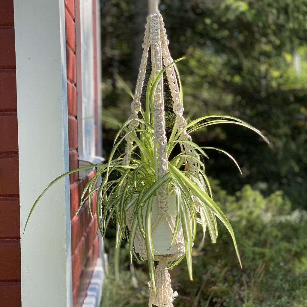 Blomampel knuten i makramé