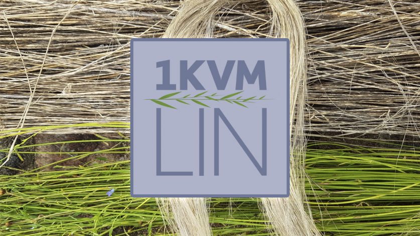 Projekt 1 kvm lin logo
