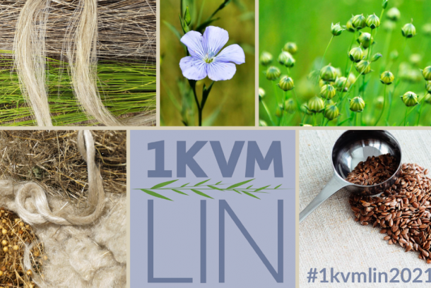 Projektet 1 kvm lin
