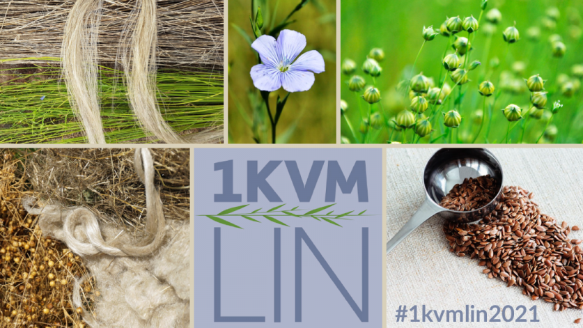 Projektet 1 kvm lin