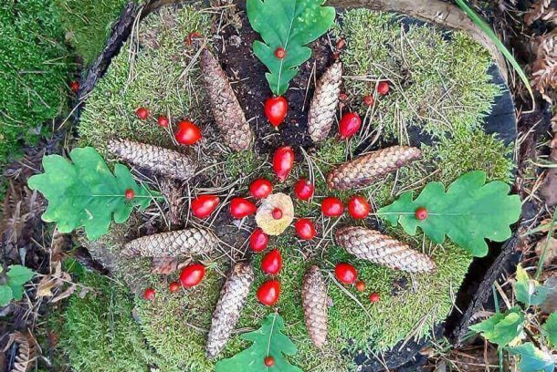 skogsmandala av löv och kottar