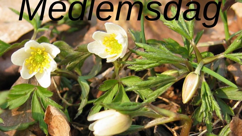 INbjudan